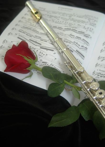 Концерт «Классика VS модерн. Московский оркестр флейт»