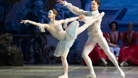 Балет «Спящая красавица», Товарково