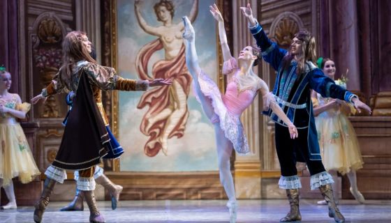 Балет «Спящая красавица», Товарково