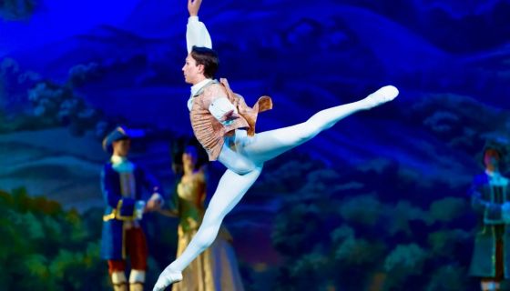 Балет «Спящая красавица», Товарково