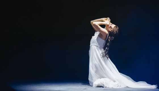 Мюзикл-шоу «Нотр-Дам де Пари» и «Ромео и Джульетта»