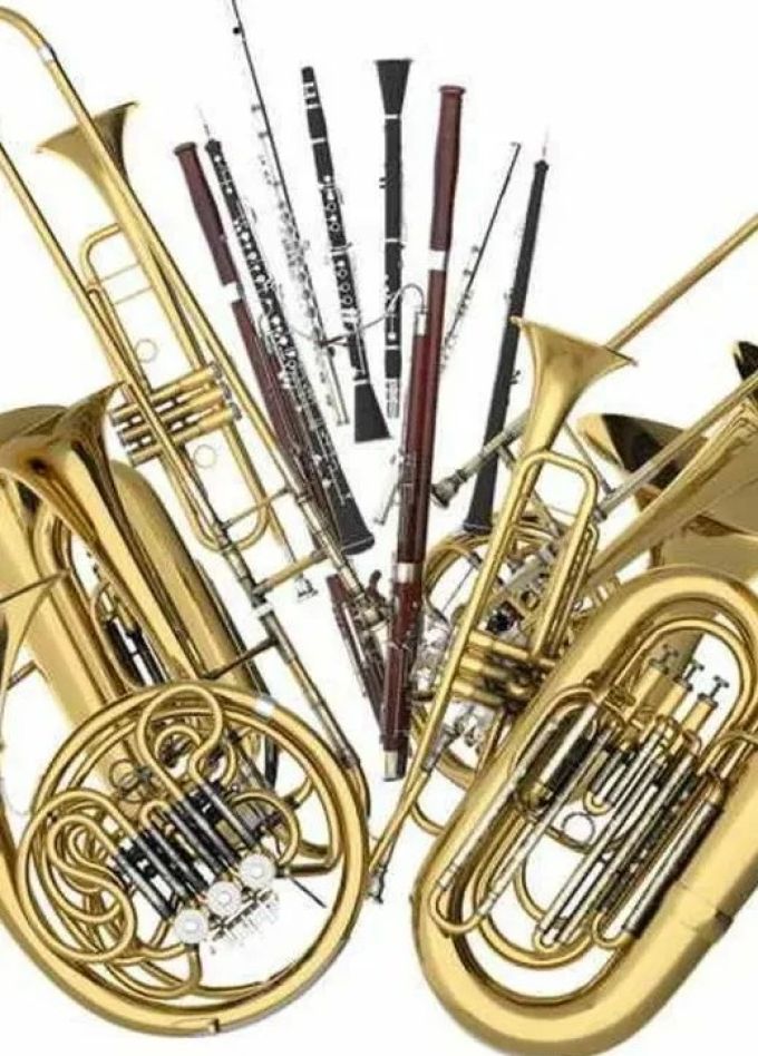 Детский летний абонемент. Мир музыкальных инструментов